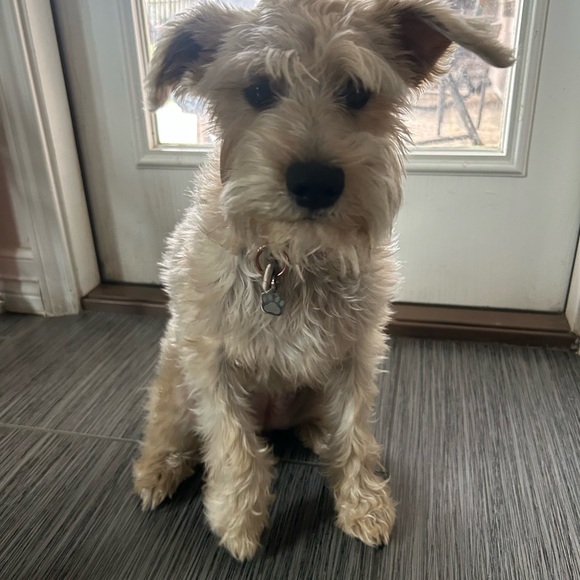 Meet your Posher, Esther - Picture 8 of 8